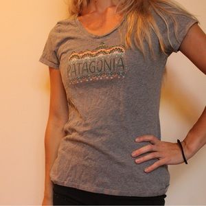 Grey patagonia v neck XS